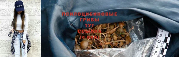 шишки Балахна