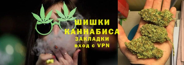 шишки Балахна