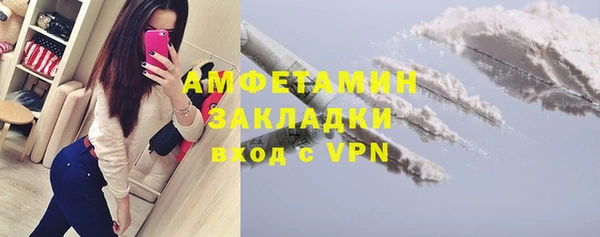 шишки Балахна