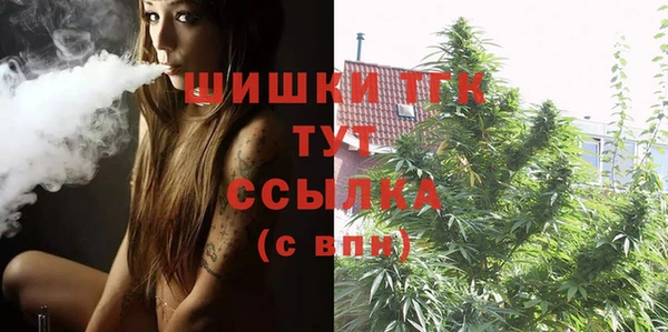 шишки Балахна